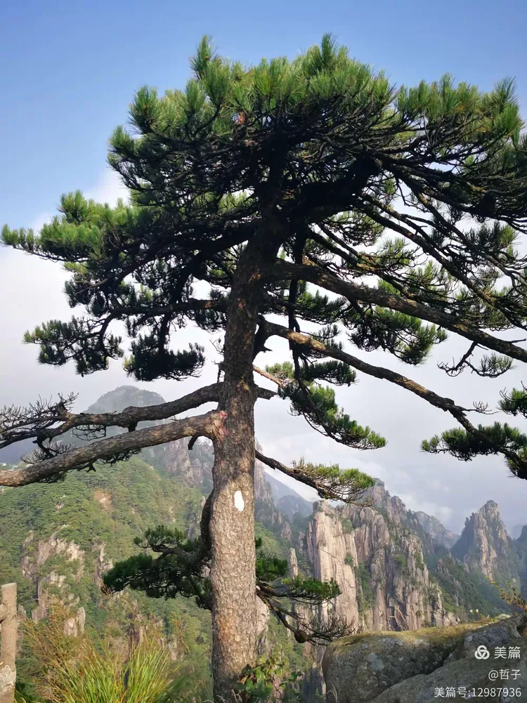 哲子的美篇2019年部分游记